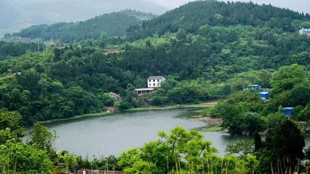 蜀滋香鲜鱼火锅加盟