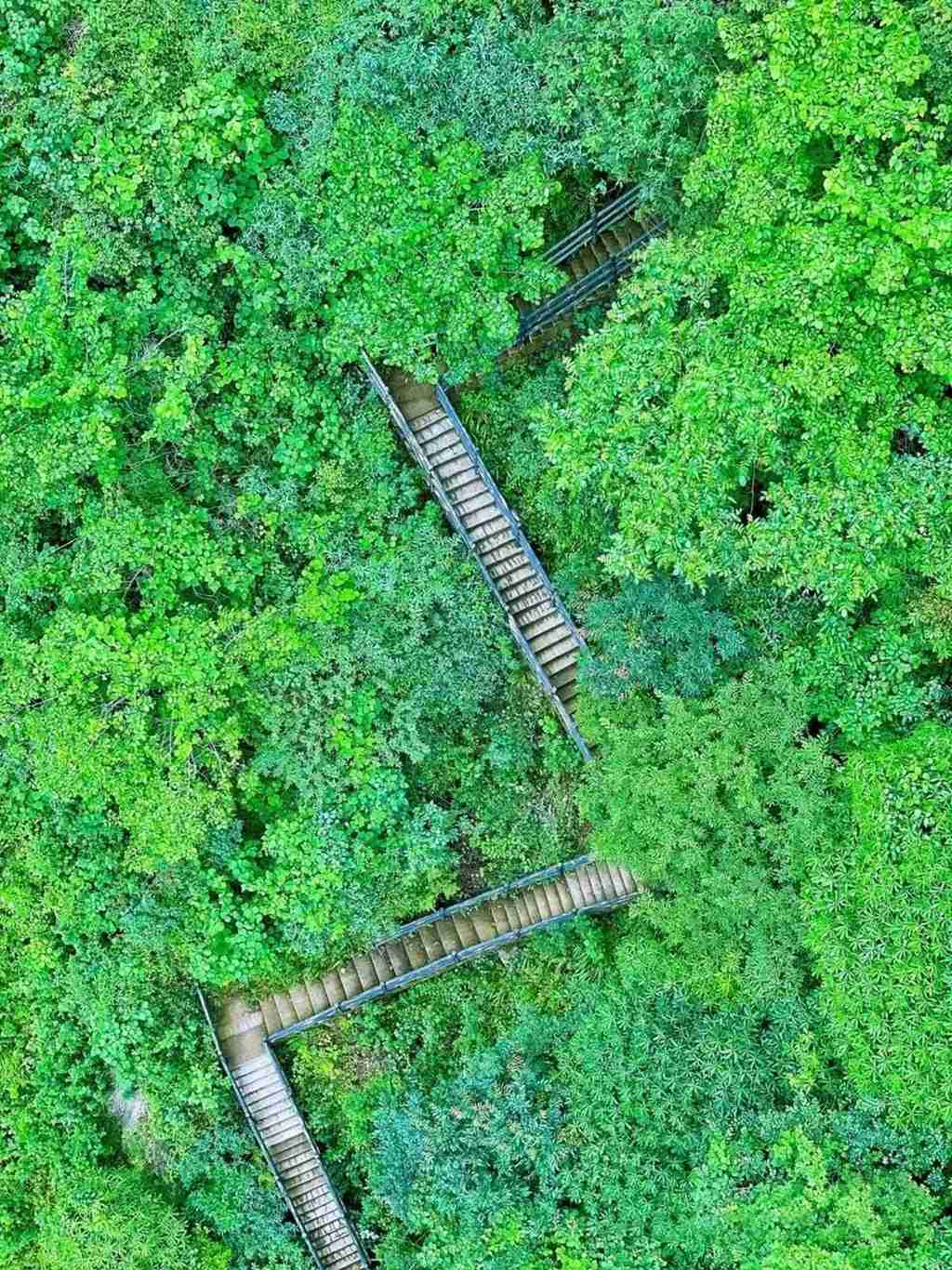 蜀滋香鲜鱼火锅加盟