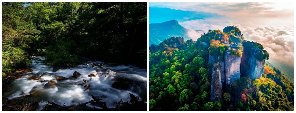 蜀滋香鲜鱼火锅加盟