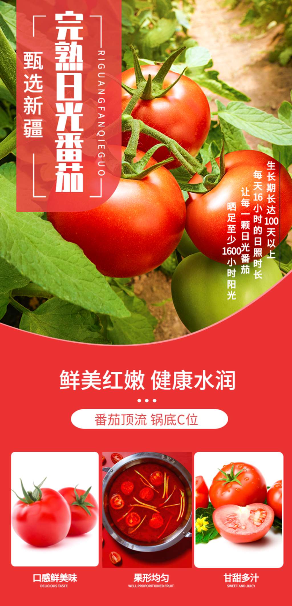 蜀滋香鲜鱼火锅加盟
